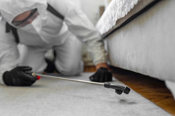 Professional Termite Control technician working in Spearman, TX
