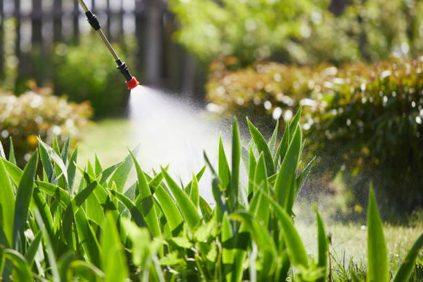 24/7 Emergency Termite Control experts in Spearman, TX